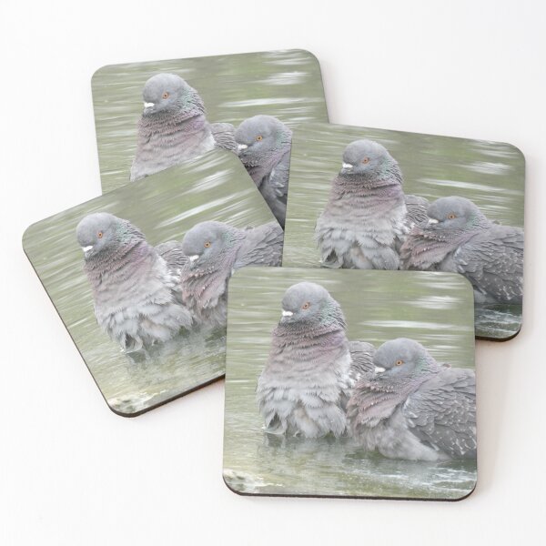 Item preview, Pigeon Bath designed and sold by Birds-by-Bovi.