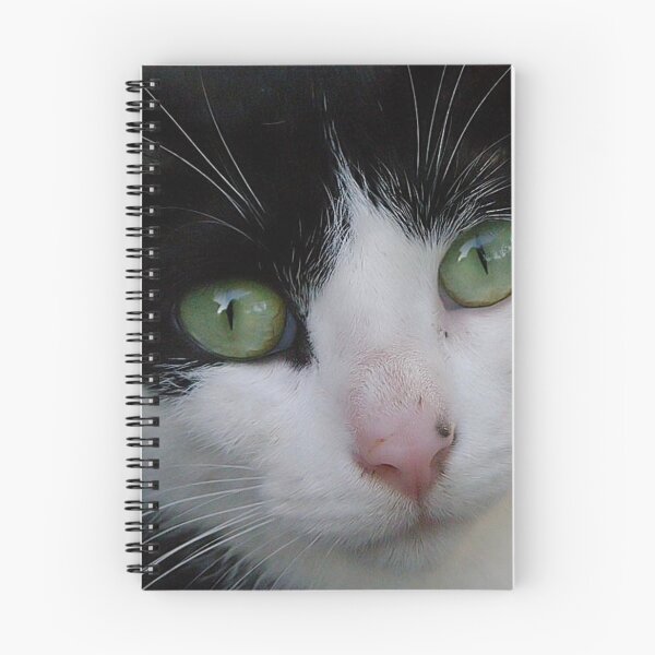 Item preview, look into my eyes designed and sold by Cheryl Dunning.