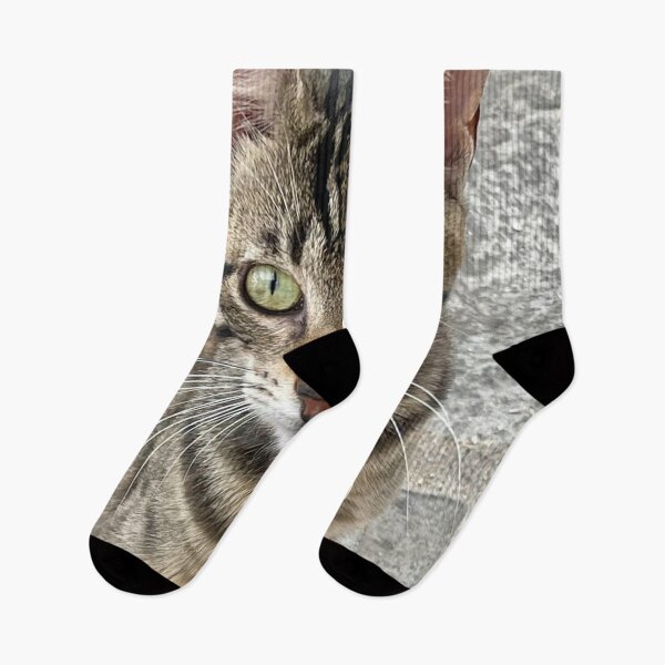 Item preview, Cute Cat in Nikiti, Greece Coast Magnificent Mediterranean Sea Photography designed and sold by InspiredForever.