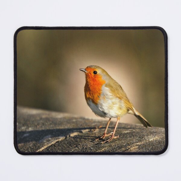 Item preview, Robin Redbreast designed and sold by GillianSweeney.