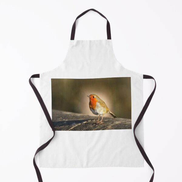 Item preview, Robin Redbreast designed and sold by GillianSweeney.