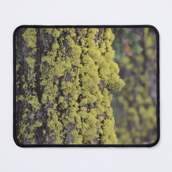 Item preview, Lichen It! designed and sold by Whisperingpeaks.