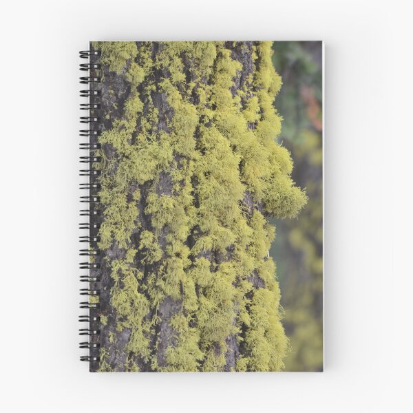 Item preview, Lichen It! designed and sold by Whisperingpeaks.