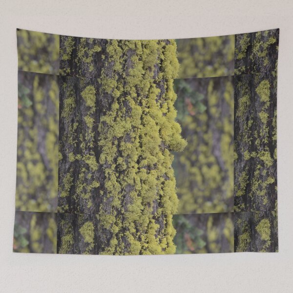 Item preview, Lichen It! designed and sold by Whisperingpeaks.