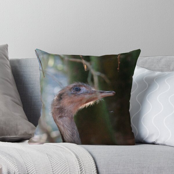 Item preview, Curious designed and sold by Ladymoose.