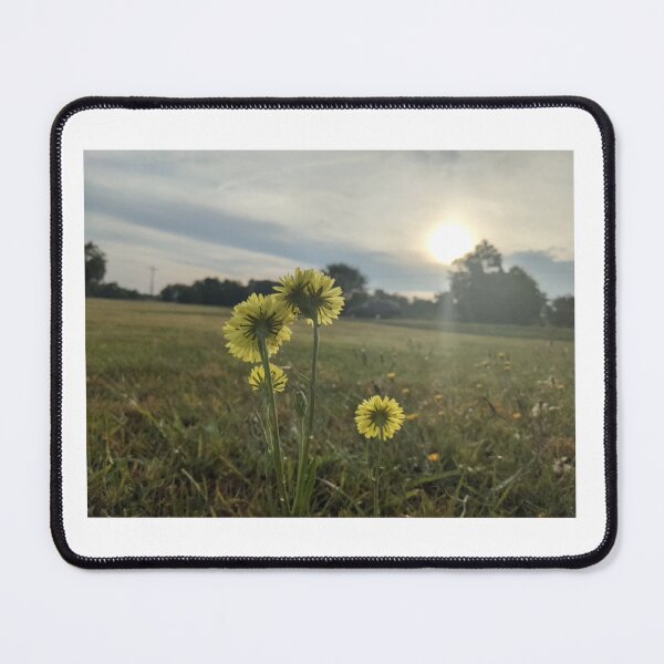 Item preview, Dandelions in the Sun designed and sold by TheRealDanniX.