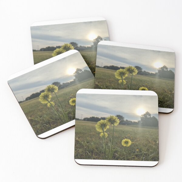 Item preview, Dandelions in the Sun designed and sold by TheRealDanniX.