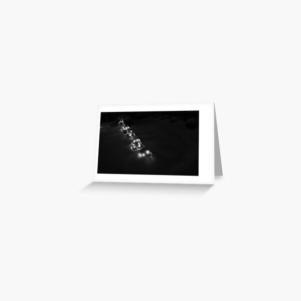 Lights Under Snow Greeting Card