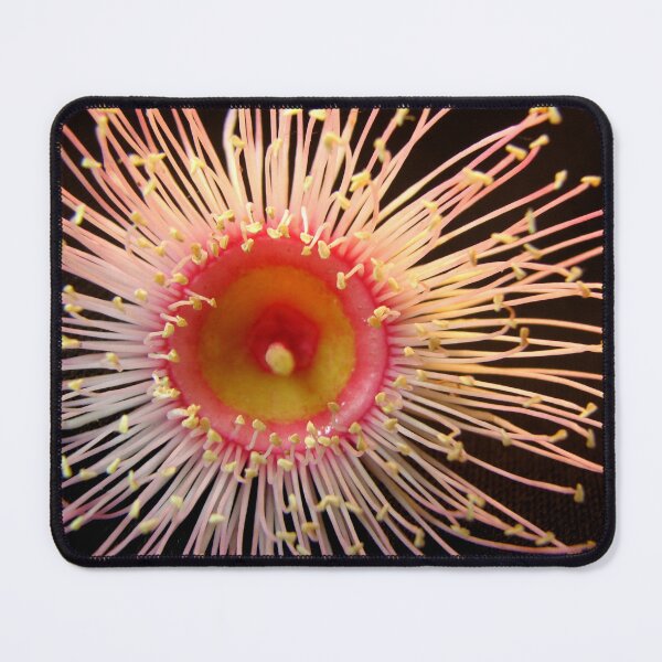 Item preview, Spring arrives....... designed and sold by Kathie Nichols.