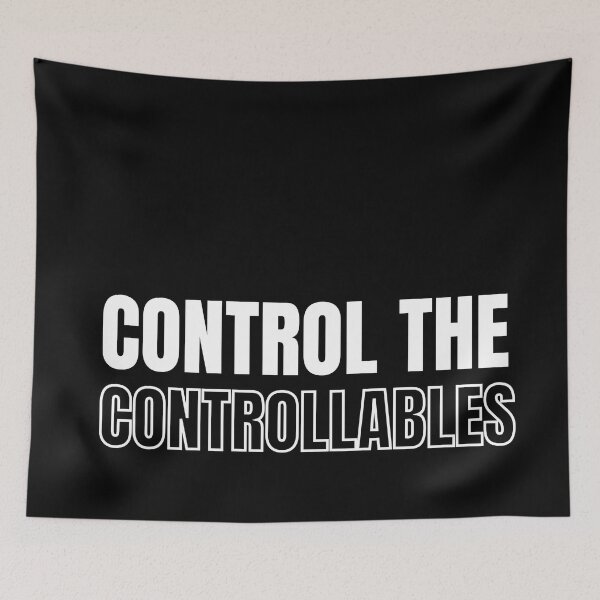 Item preview, Control the controllables. Text only design. White text. designed and sold by JellyBeenzz.