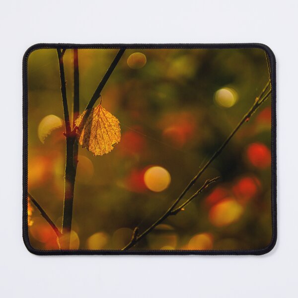 Item preview, Autumn of the forest designed and sold by Veikko  Suikkanen.