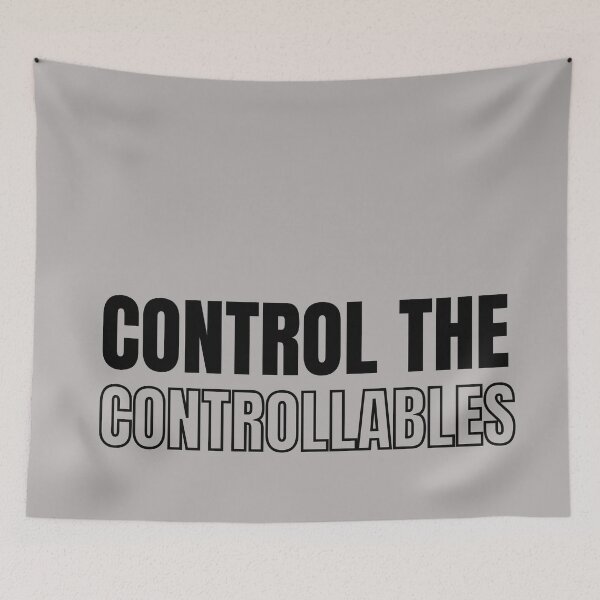 Item preview, Control the controllables. Text only design. Black text. designed and sold by JellyBeenzz.