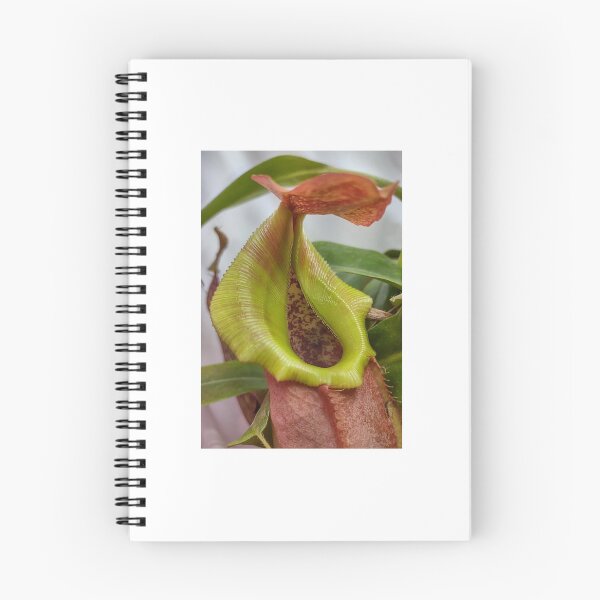 Item preview, Nepenthes pitcher hybrid #2 designed and sold by Deathplant.