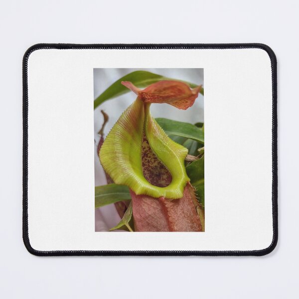 Item preview, Nepenthes pitcher hybrid #2 designed and sold by Deathplant.