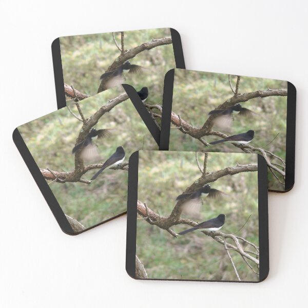 Item preview, Willie Wagtails Busselton, Western Australia designed and sold by Rainbow Farm Photography.