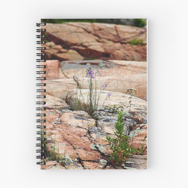 Item preview, Rockin Wildflowers designed and sold by Debbie Oppermann.