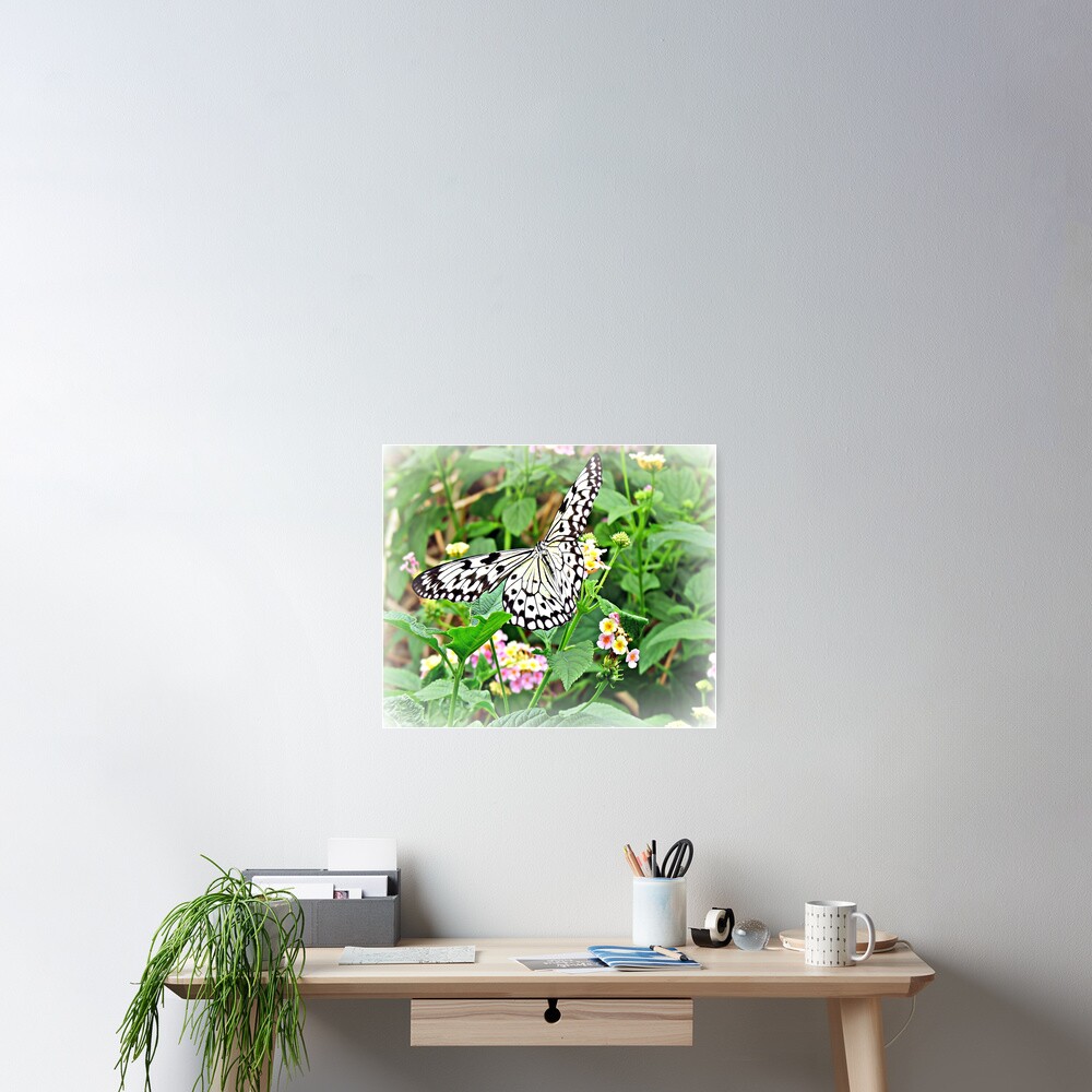 Item preview, Poster designed and sold by ScenicViewPics.