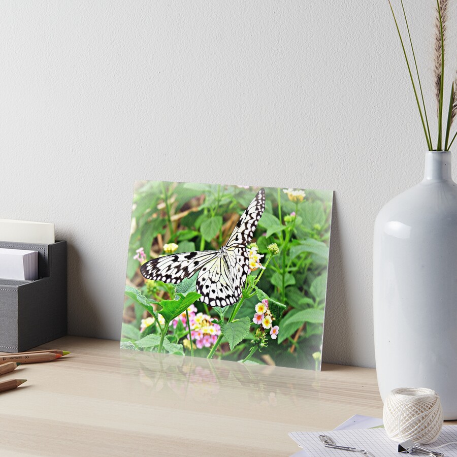 Item preview, Art Board Print designed and sold by ScenicViewPics.