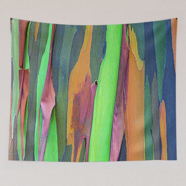Item preview, Rainbow Eucalyptus Tree Bark Close-Up In Tropic Colors  designed and sold by DEC02.