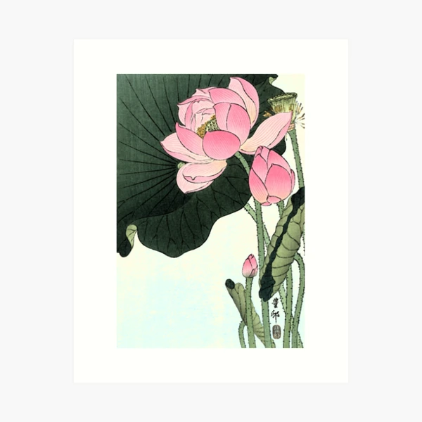 The Lotus Flower A Textile Hidden In | eBay