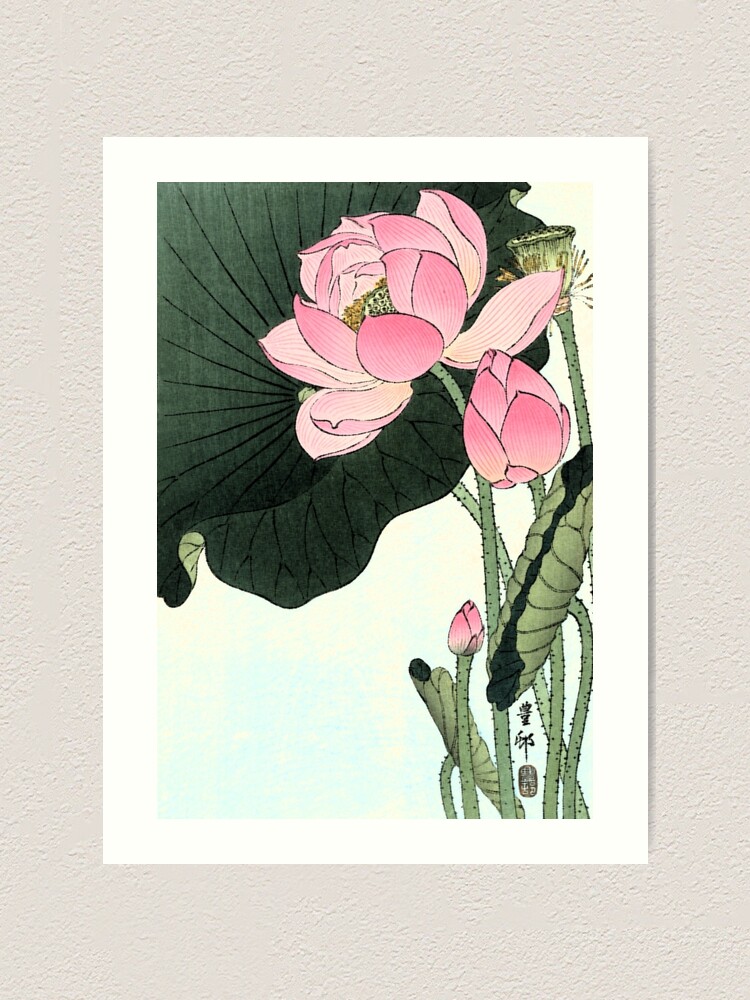 Lotus Flower - Vintage Japanese Fine Art