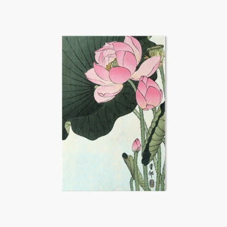 高質 gbrf,4x6,f,540x540-pad,450x450 工芸品