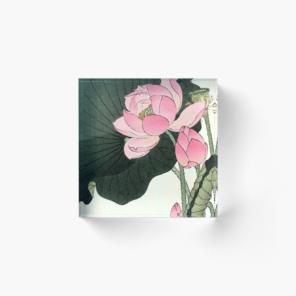 Lotus Flower - Vintage Japanese Fine Art