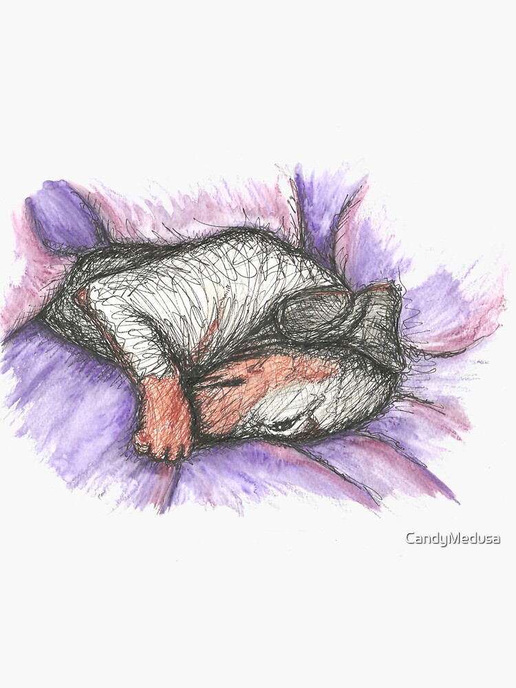Thumbnail 3 of 3, Sticker, Dachshund sleeping on purple. Shy sausage dog, doxie, weiner, illustration designed and sold by CandyMedusa.