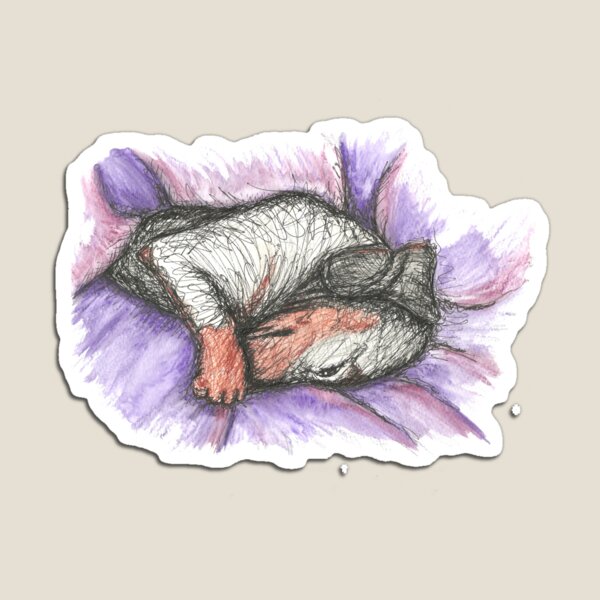 Dachshund sleeping on purple. Shy sausage dog, doxie, weiner, illustration Magnet