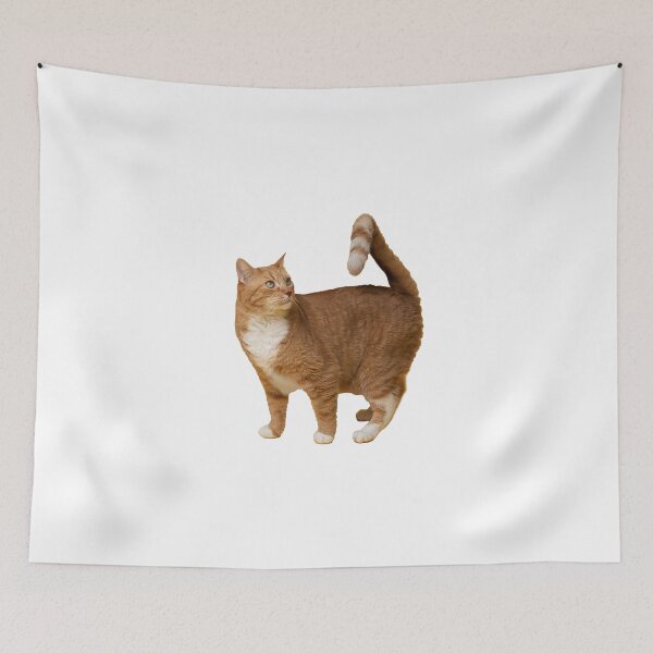 Item preview, cute cat designed and sold by bas19101.