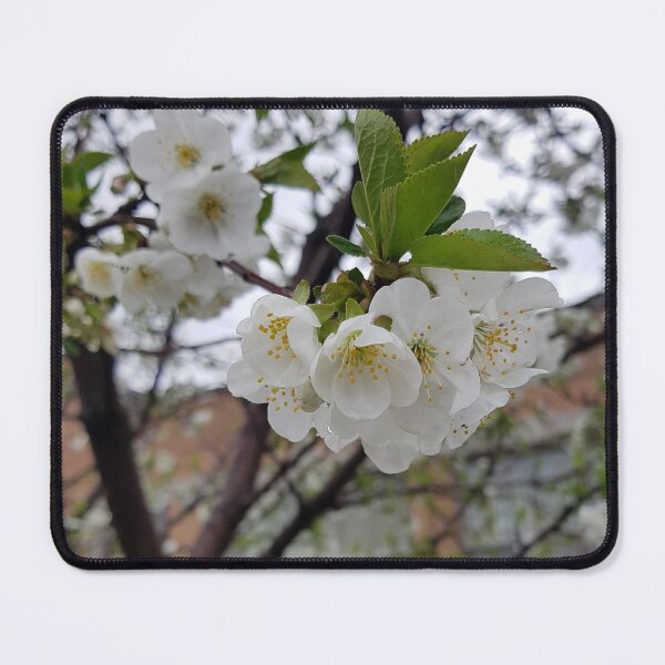 Item preview, White Blossoms on a Branch designed and sold by WhiteSoftPetals.
