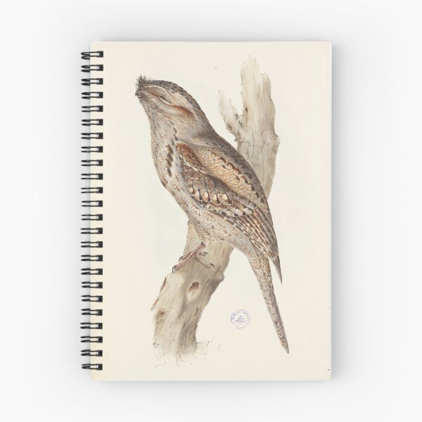 Item preview, Tawny Frogmouth Illustration designed and sold by State Library of South Australia.