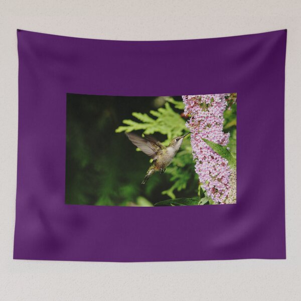 Item preview, Hummingbird And Buddleia designed and sold by Debbie Oppermann.