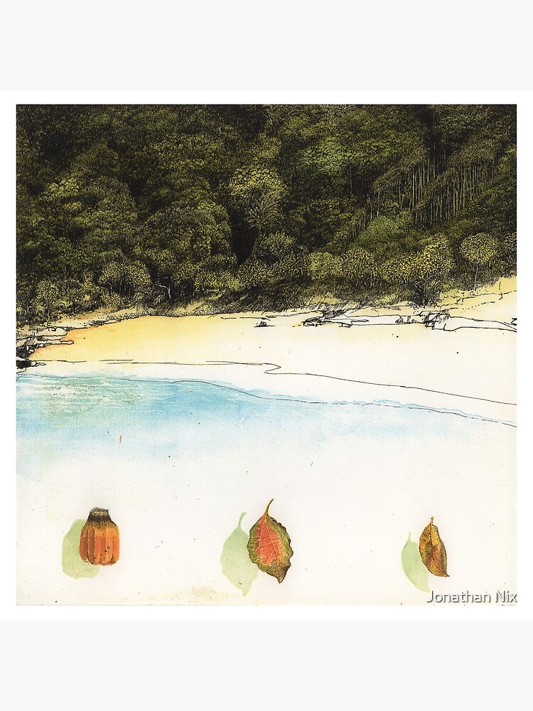 Thumbnail 7 of 7, Framed Art Print, Beach, leaves and pandanus seeds, Cavvanbah Country designed and sold by JonathanNix.
