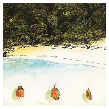 Artwork thumbnail, Beach, leaves and pandanus seeds, Cavvanbah Country by Jonathan Nix