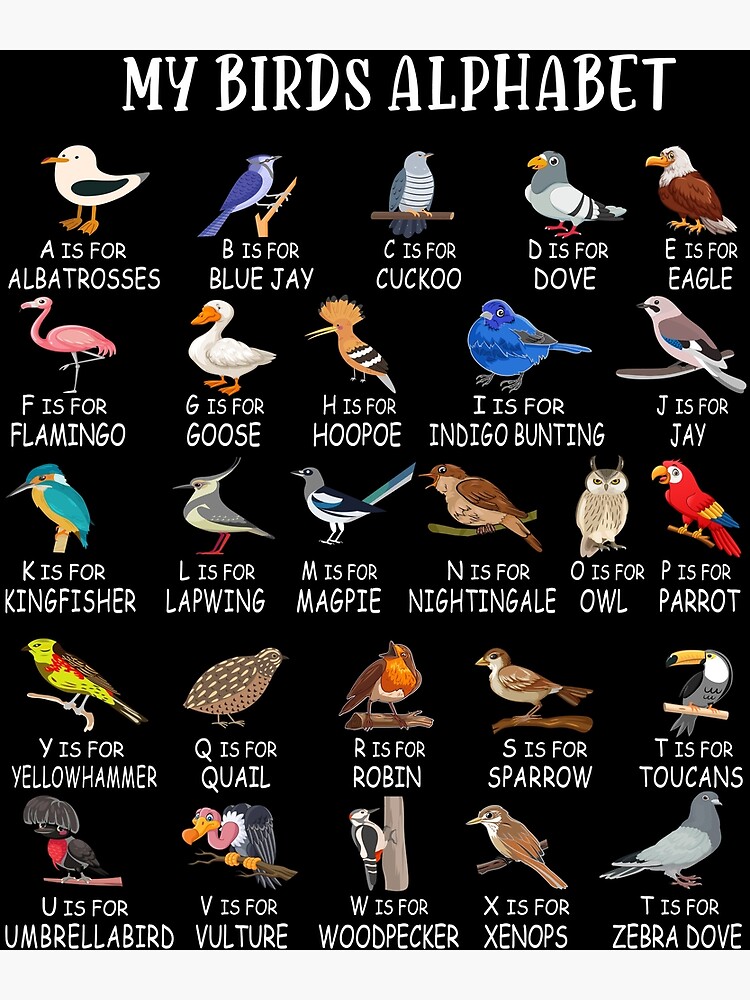 Bird Nerd Different Kinds of Bird' Cute Bird Lover Gift - Birds