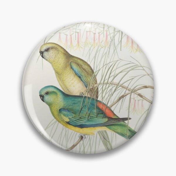Item preview, Red rumped parrot designed and sold by State Library of South Australia.