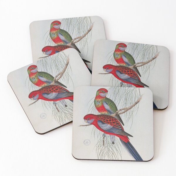 Item preview, Crimson Rosella illustration designed and sold by State Library of South Australia.