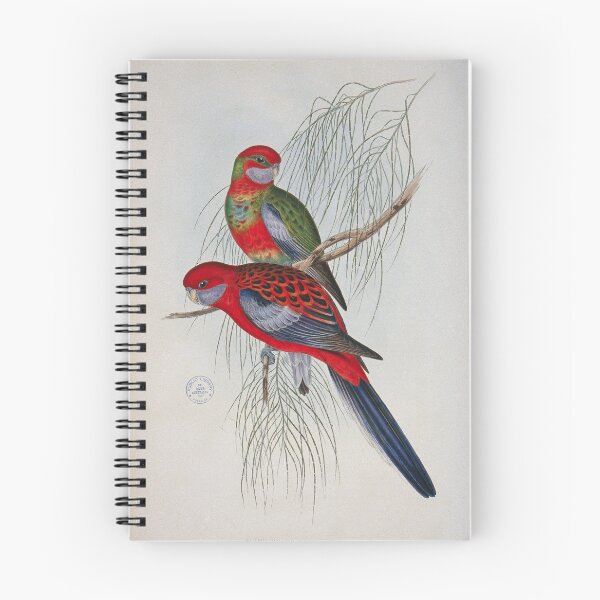 Item preview, Crimson Rosella illustration designed and sold by State Library of South Australia.