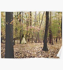 Fallen Leaves Poster