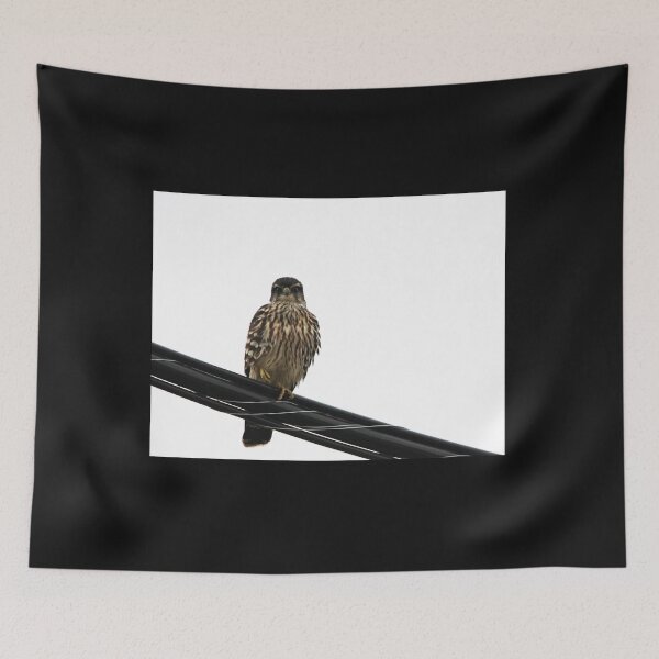 Item preview, Magical Merlin designed and sold by Debbie Oppermann.