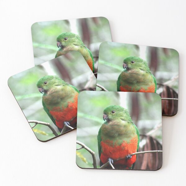 Item preview, ©  King parrot designed and sold by GeoPipics.