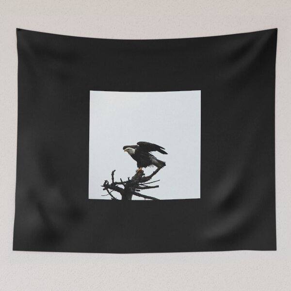 Item preview, Flight Ready Bald Eagle designed and sold by Debbie Oppermann.