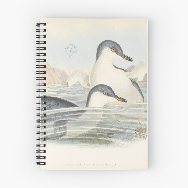 Aperçu de l'œuvre Illustration de petits pingouins créée et vendue par State Library of South Australia.
