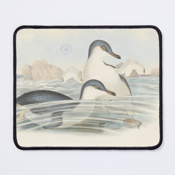 Item preview, Little Penguins illustration designed and sold by State Library of South Australia.