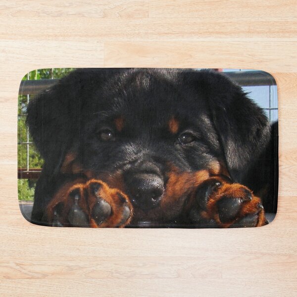 Item preview, Cute Rottweiler Puppy Resting Head Between Paws designed and sold by taiche.