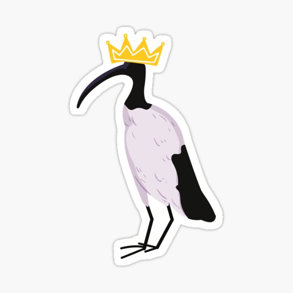 Item preview, Ibis King / Ibis / Bin Chicken/ Brisbane  designed and sold by Dulynotedco.