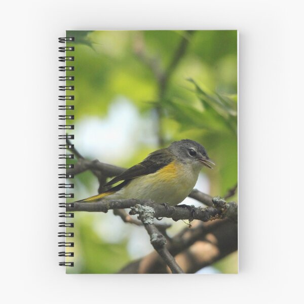 Item preview, Female American Redstart designed and sold by Debbie Oppermann.