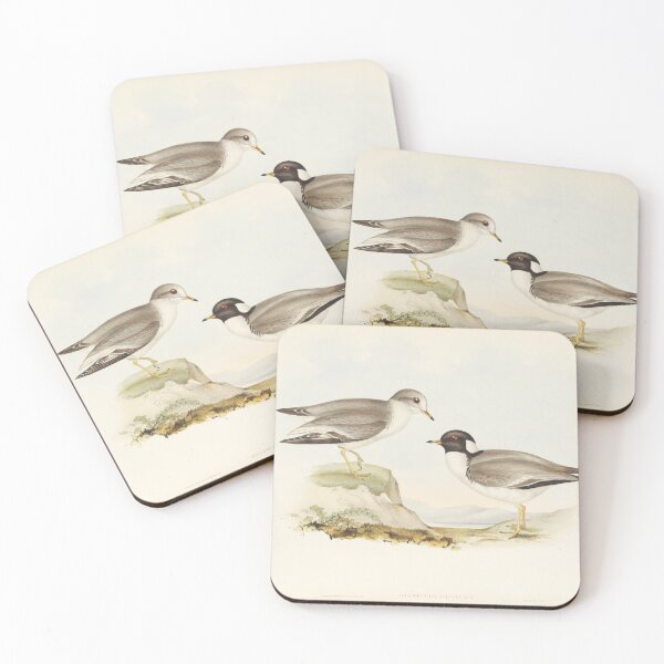 Item preview, Hooded Plover illustration designed and sold by State Library of South Australia.