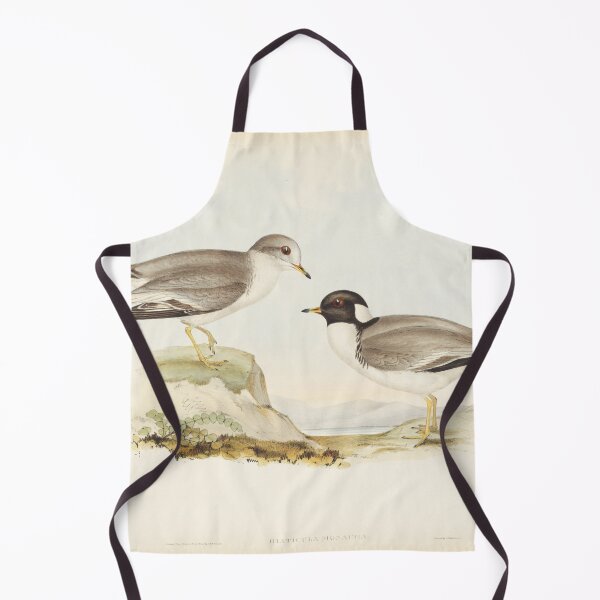 Item preview, Hooded Plover illustration designed and sold by State Library of South Australia.